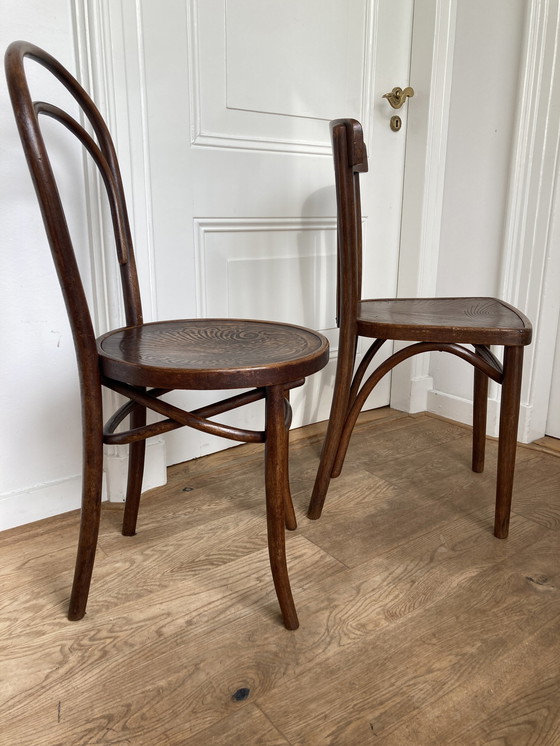 Image 1 of 6X Thonet En Andere Bentwood Stoelen