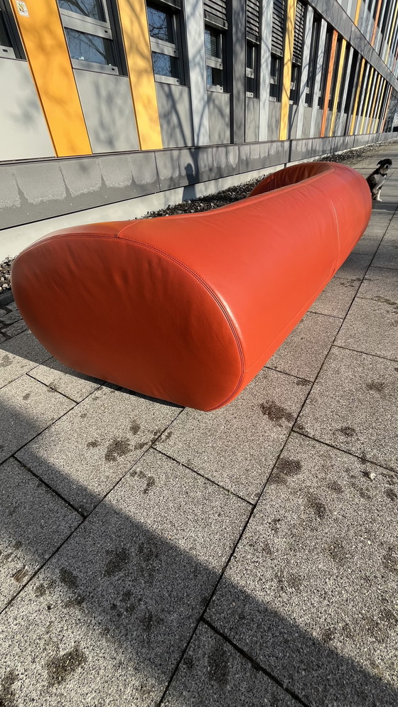 Image 1 of Koinor Design Bank Parel Leer Bourgondisch-Rood 3-zits