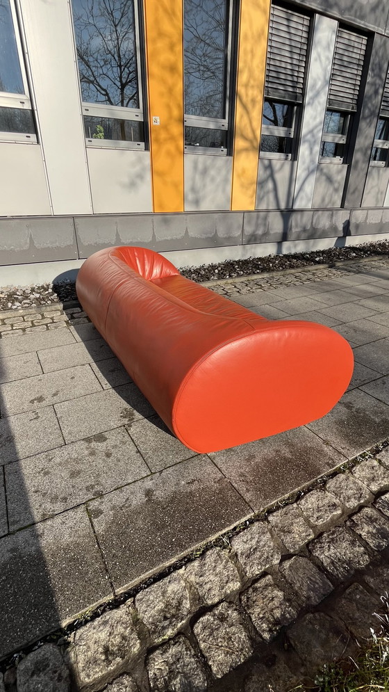 Image 1 of Koinor Design Bank Parel Leer Bourgondisch-Rood 3-zits