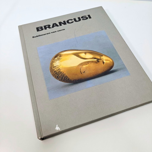 Brancusi - Sublimeren Van Vorm - Hardcover Boek