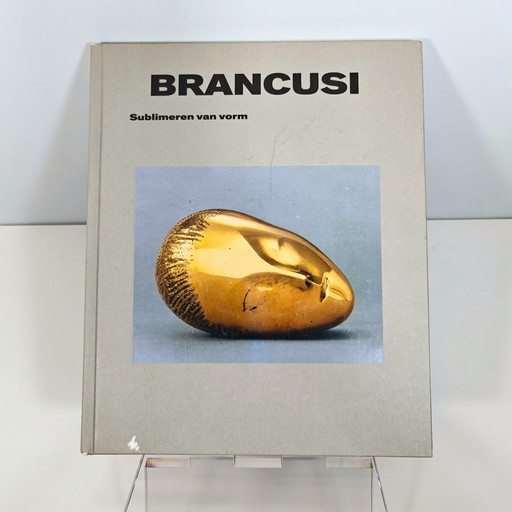 Brancusi - Sublimeren Van Vorm - Hardcover Boek