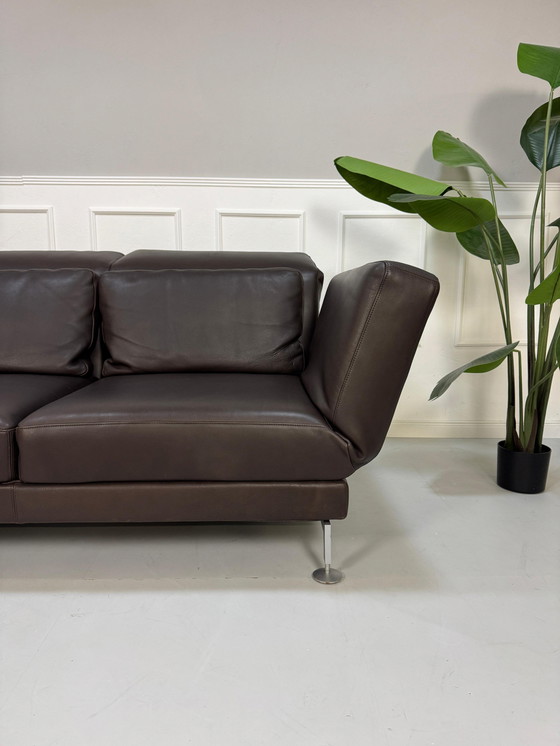 Image 1 of Brühl Moule Designer Sofa Leder Bruin Bankstel