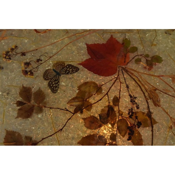 Image 1 of Vintage salontafel van hars, 1970