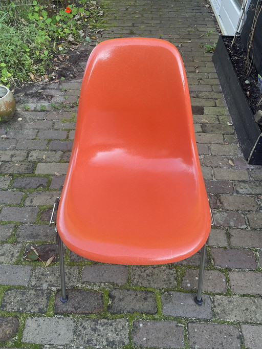 6x Eames Fiberglass Side Chair DSS, Herman Miller 1960'S