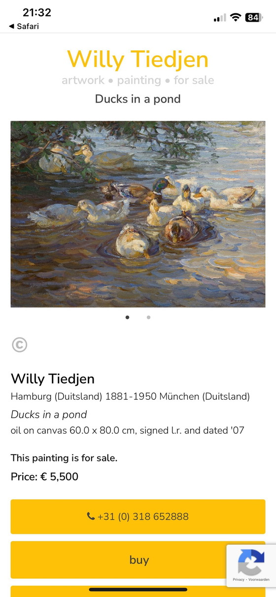 Image 1 of Willy Tiedjen Olieschilderij Eenden