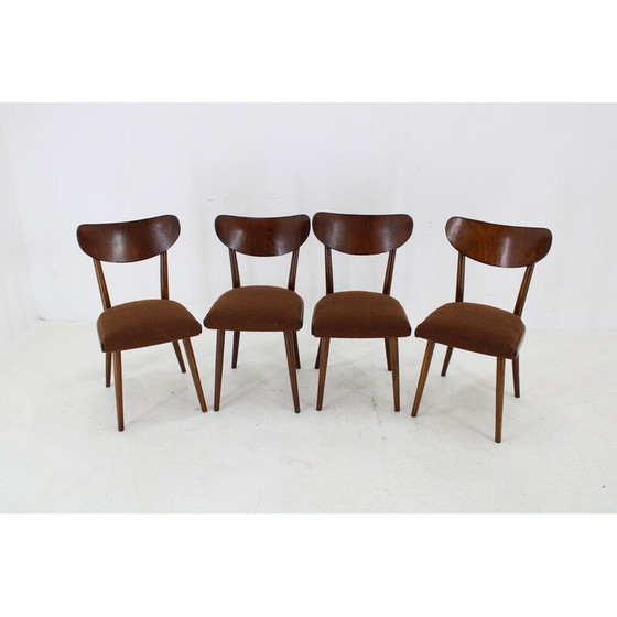 Image 1 of Set van 4 vintage beukenhouten lusstoelen, Tsjecho-Slowakije 1950