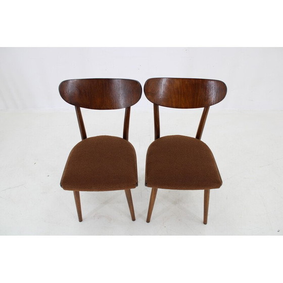 Image 1 of Set van 4 vintage beukenhouten lusstoelen, Tsjecho-Slowakije 1950