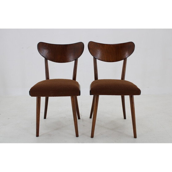 Image 1 of Set van 4 vintage beukenhouten lusstoelen, Tsjecho-Slowakije 1950
