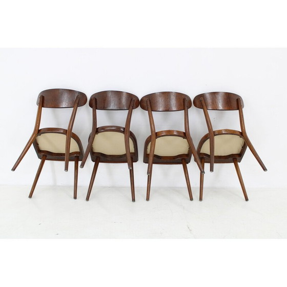 Image 1 of Set van 4 vintage beukenhouten lusstoelen, Tsjecho-Slowakije 1950