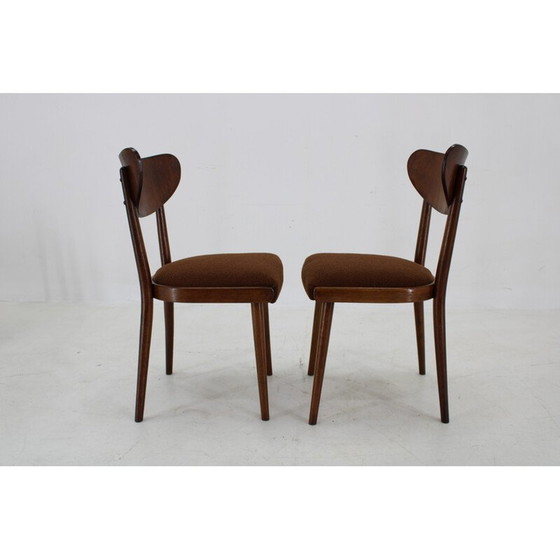 Image 1 of Set van 4 vintage beukenhouten lusstoelen, Tsjecho-Slowakije 1950