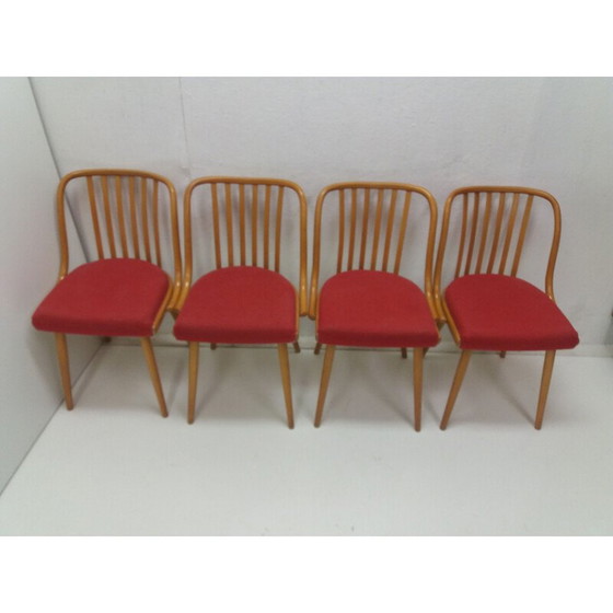 Image 1 of Vintage eetkamerset van Antonín Šuman voor Fa Jiton en Ton, Tsjecho-Slowakije 1960