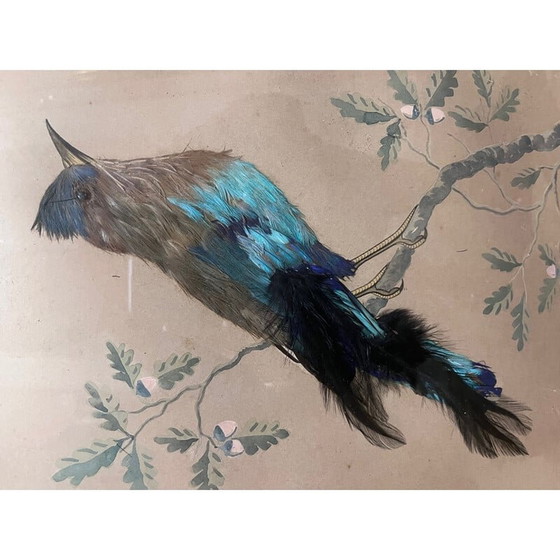 Image 1 of Vintage vogelillustratie