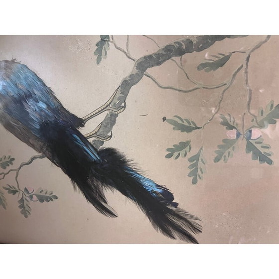 Image 1 of Vintage vogelillustratie