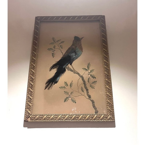 Image 1 of Vintage vogelillustratie