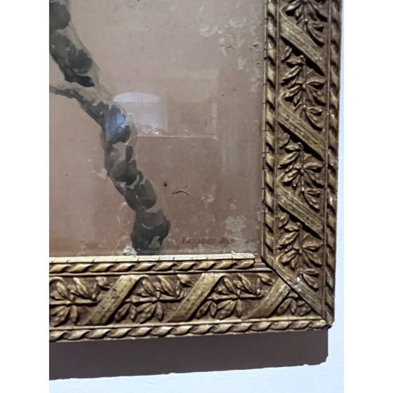 Image 1 of Vintage vogelillustratie