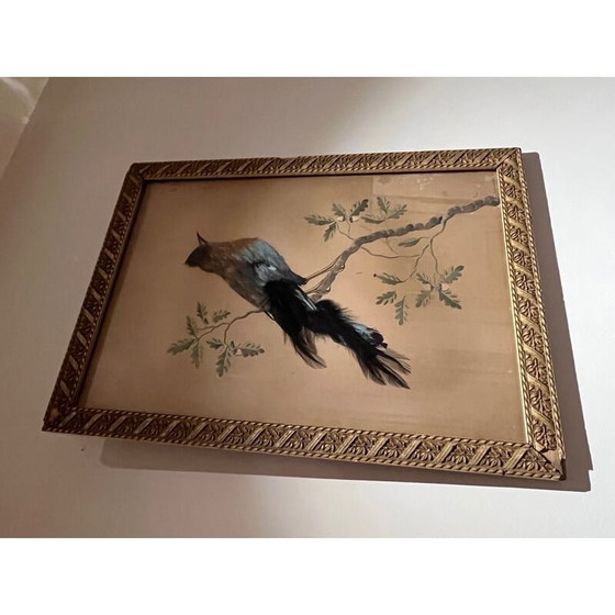 Image 1 of Vintage vogelillustratie