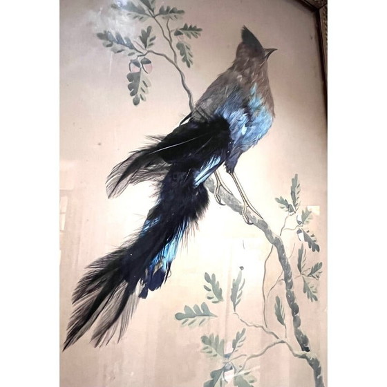 Image 1 of Vintage vogelillustratie