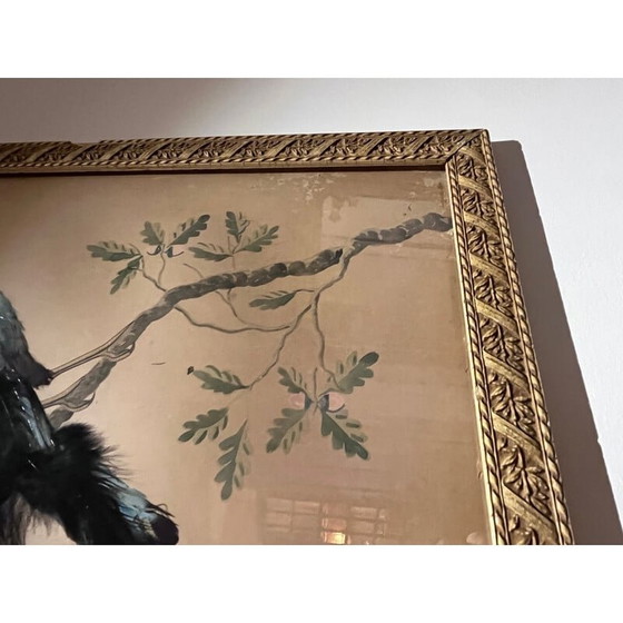 Image 1 of Vintage vogelillustratie