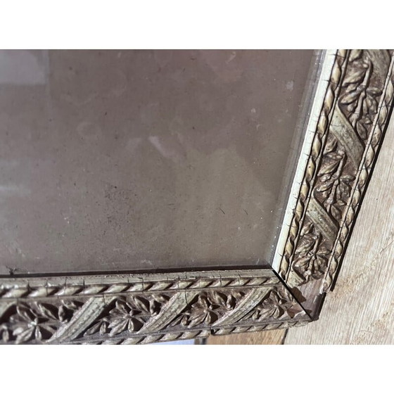 Image 1 of Vintage vogelillustratie