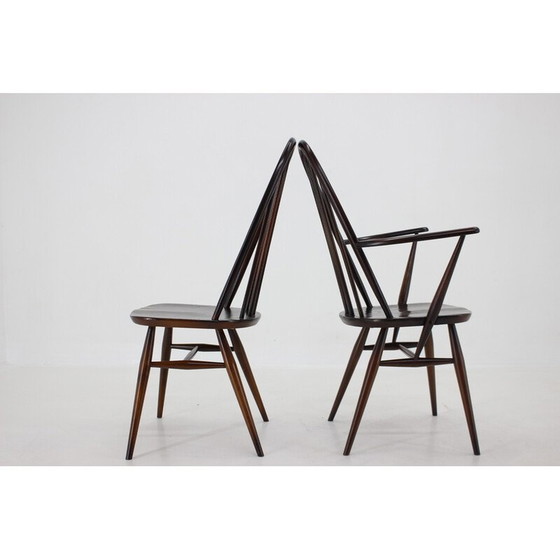 Image 1 of Set van 6 vintage Windsor eetkamerstoelen van Lucian Ercolani, Italië 1960