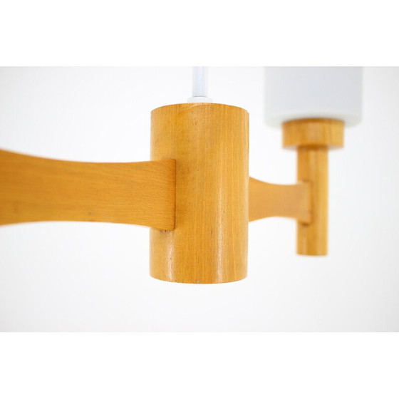Image 1 of Vintage hanglamp van hout en glas, Tsjecho-Slowakije 1980