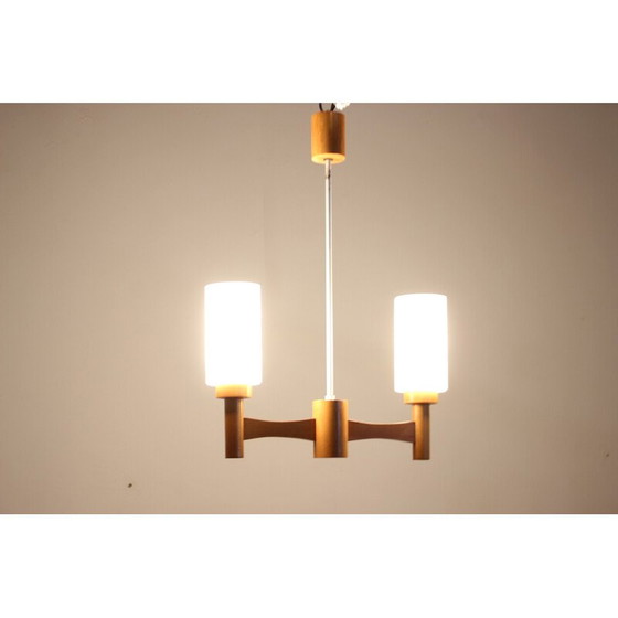 Image 1 of Vintage hanglamp van hout en glas, Tsjecho-Slowakije 1980