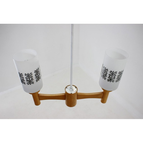 Image 1 of Vintage hanglamp van hout en glas, Tsjecho-Slowakije 1980