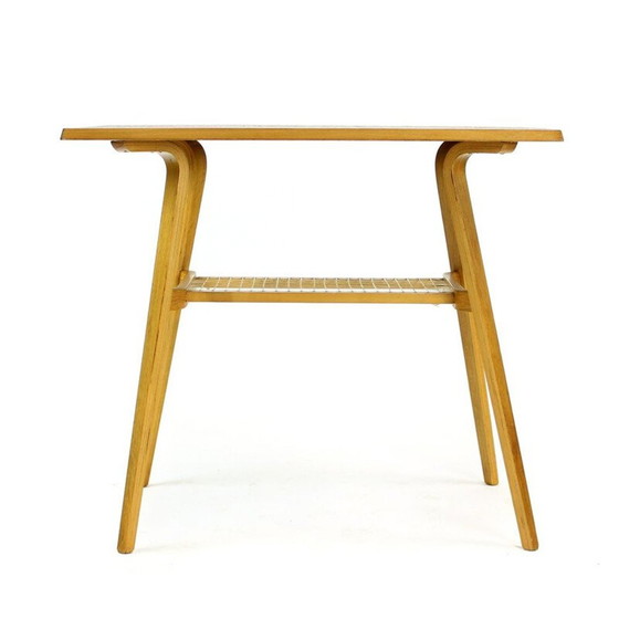 Image 1 of Vintage salontafel met plastic net, Tsjecho-Slowakije 1960