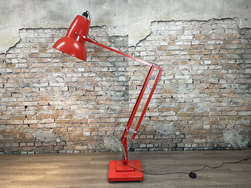 Anglepoise Original 1227 Giant