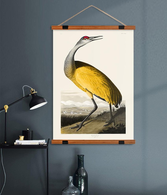 Image 1 of Vintage poster / gele vogel / A1