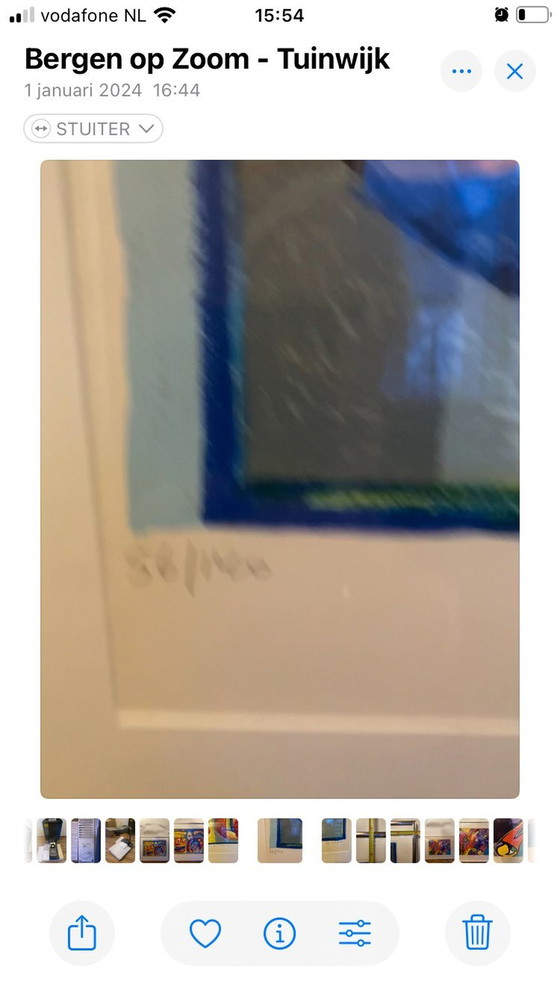 Image 1 of Paradijsvogel Door Geert Vrijdag