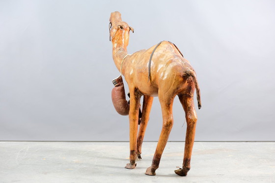 Image 1 of Mid-century leer camel, 1960