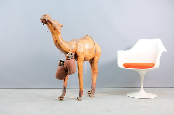 Image 1 of Mid-century leer camel, 1960