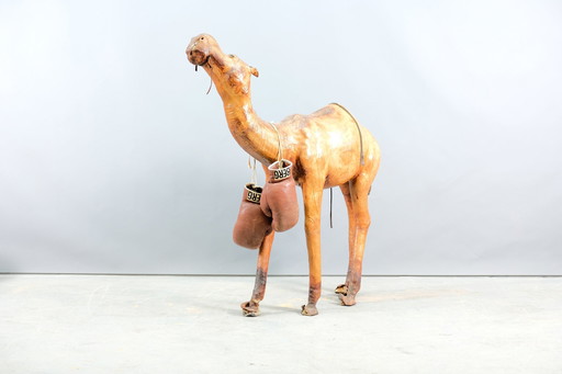 Mid-century leer camel, 1960