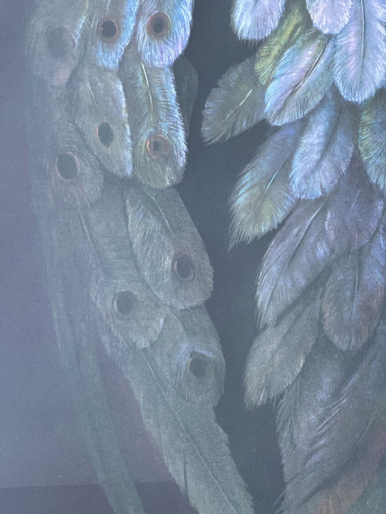 Image 1 of Leonor Fini, Rogomelec (zeldzame originele afdruk op Rives-papier)