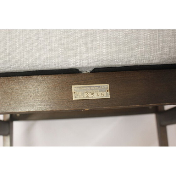 Image 1 of Paar vintage fauteuils 300-190 van Henryk Lis, 1970