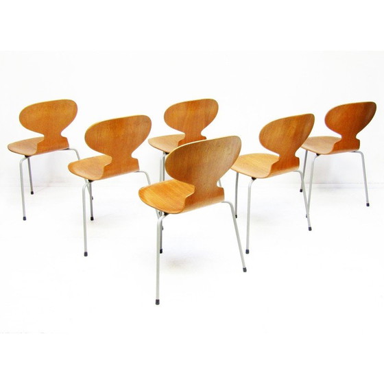 Image 1 of Set van 6 vintage Ant stoelen in teakhout van Arne Jacobsen voor Fritz Hansen, jaren 1950