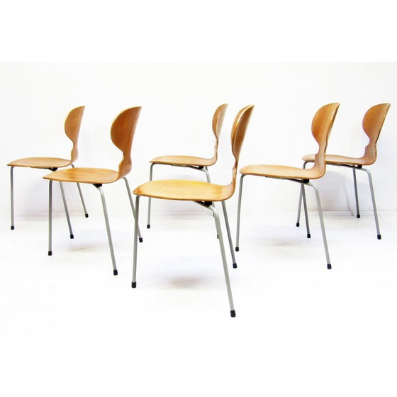 Image 1 of Set van 6 vintage Ant stoelen in teakhout van Arne Jacobsen voor Fritz Hansen, jaren 1950
