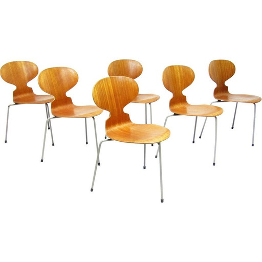 Set van 6 vintage Ant stoelen in teakhout van Arne Jacobsen voor Fritz Hansen, jaren 1950