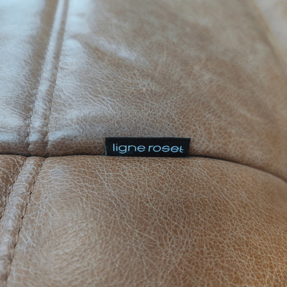 Image 1 of Ligne Roset Togo Coganc Leder