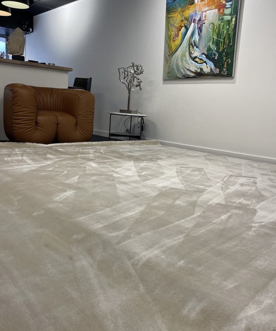 Image 1 of Brink & Campman Longbarn Liscio Tapijt 335 X 335