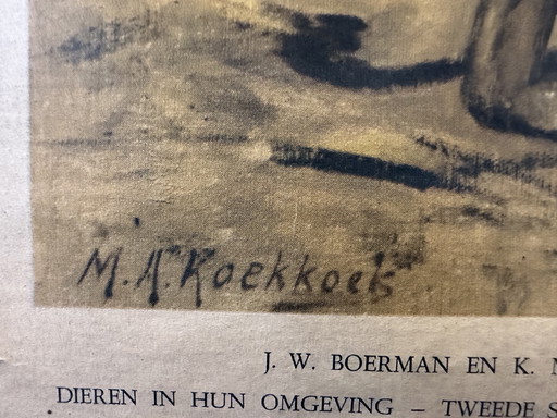 Vintage linnen schoolkaart - Aan de rand der Kalahari