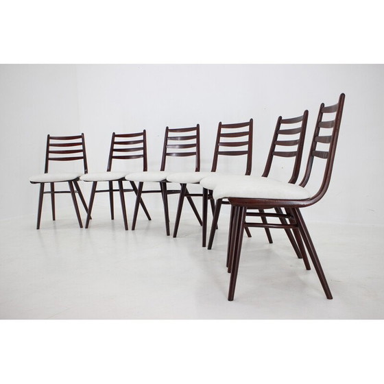Image 1 of Set van 6 vintage beukenhouten "Boomerang" stoelen, Tsjecho-Slowakije 1970