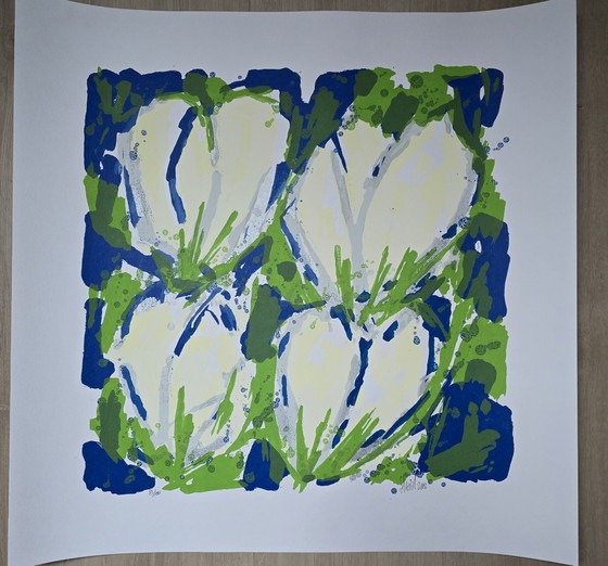 Image 1 of Ad van Hassel - Witte Tulpen