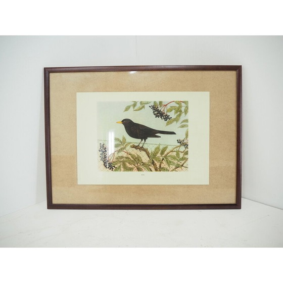 Image 1 of Vintage schoolposter, Tsjecho-Slowakije 1960