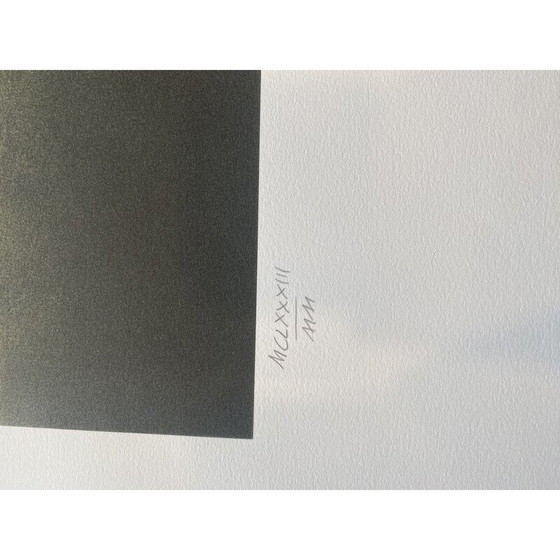 Image 1 of Vintage litho De vlammende giraffe van Salvador Dali