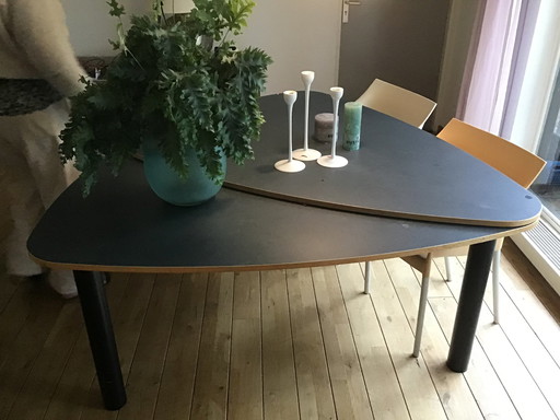 Castelijn vlinder tafel