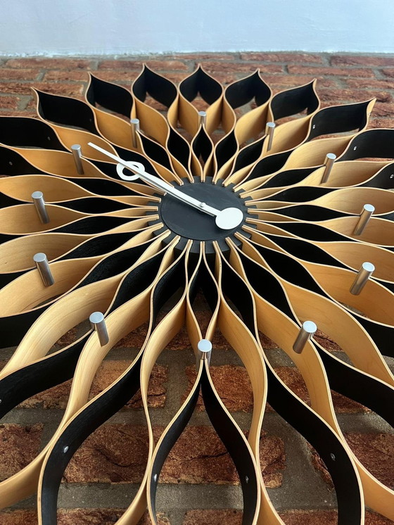 Image 1 of Vitra | George Nelson | Sunflower | Berken