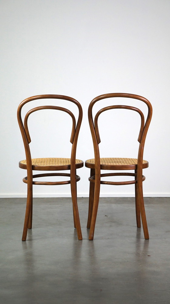 Image 1 of 2 x Vintage lichtbruine bentwood Thonet design bistro stoel