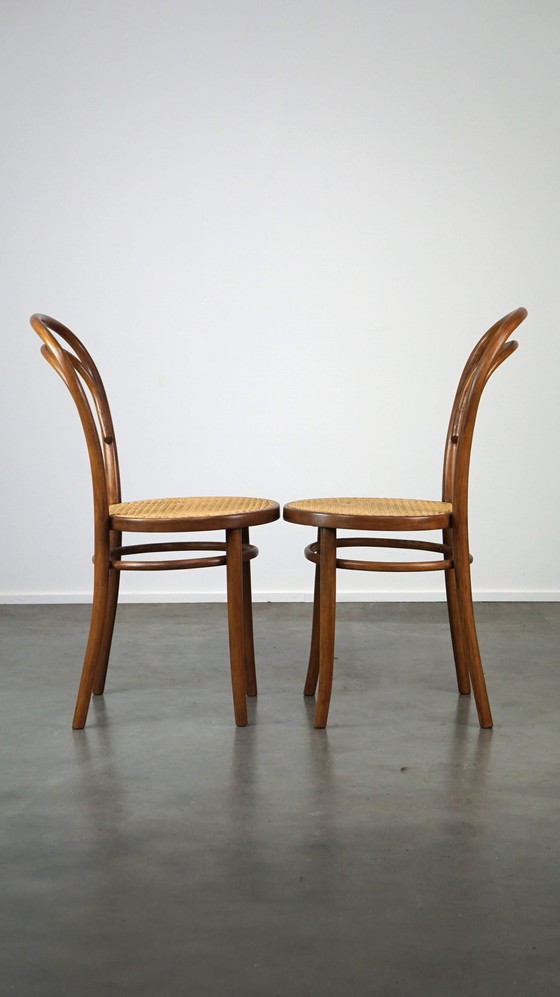 Image 1 of 2 x Vintage lichtbruine bentwood Thonet design bistro stoel